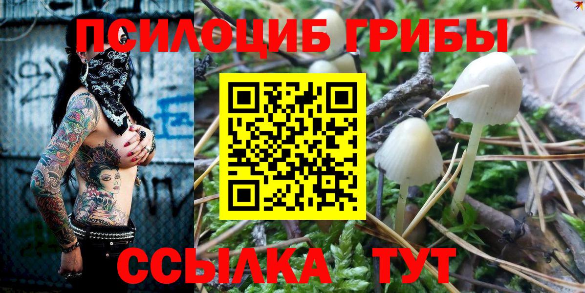 Галлюциногенные грибы прущие грибы Волоколамск