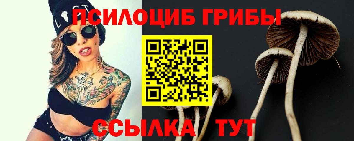 Волоколамск  ГАШ  Конопля  Вход с VPN  МЕФ   COCAIN  Экстази 