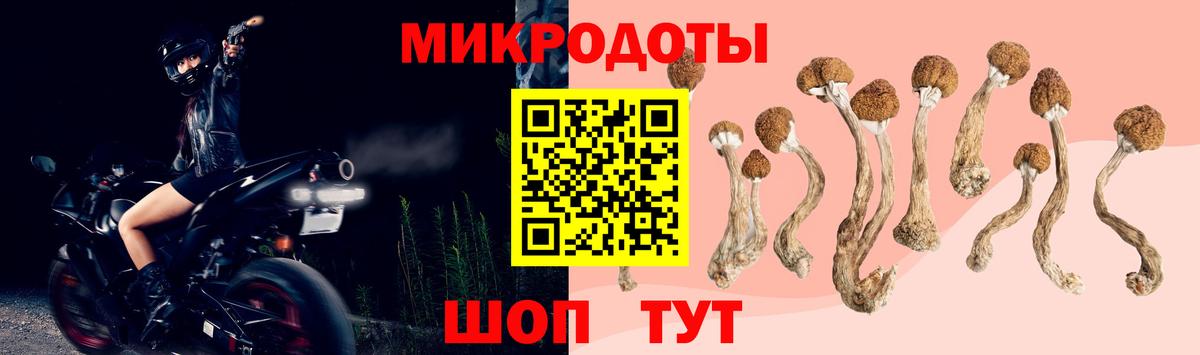 Волоколамск  Псилоцибиновые грибы Cubensis  Псилоцибиновые грибы мухоморы  Вход с VPN 